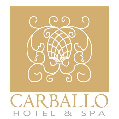 ouvidoria-carballo-hotel Carballo Hotel & Spa Ouvidoria - Telefone, Reclamação